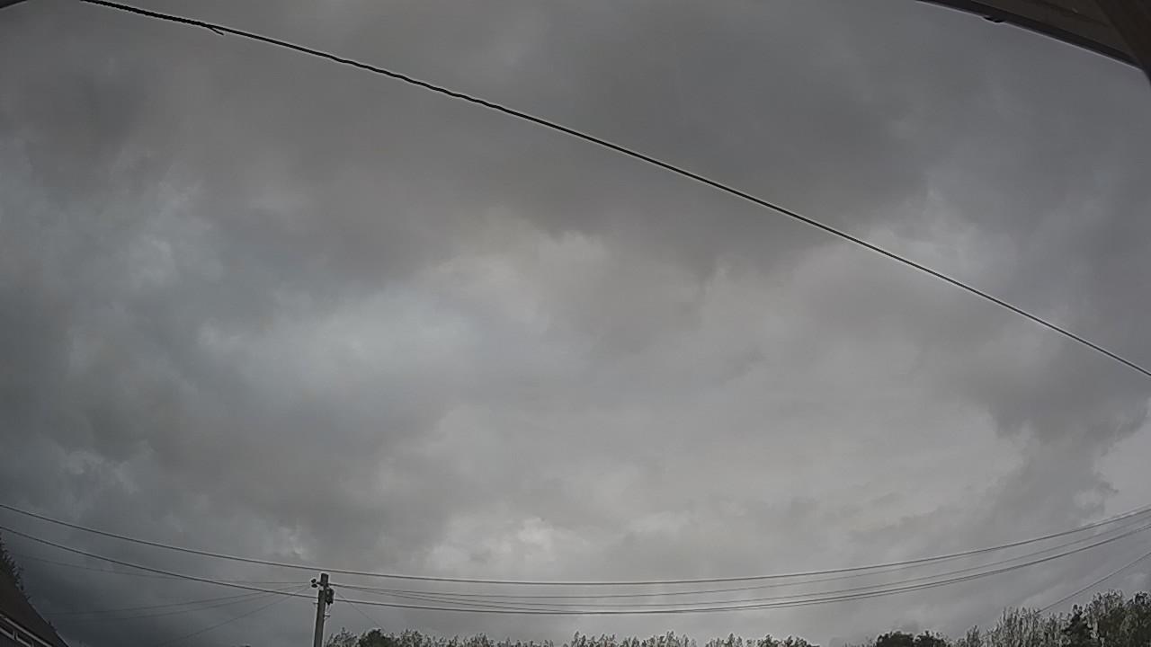 20260818_123503_cam2.jpg