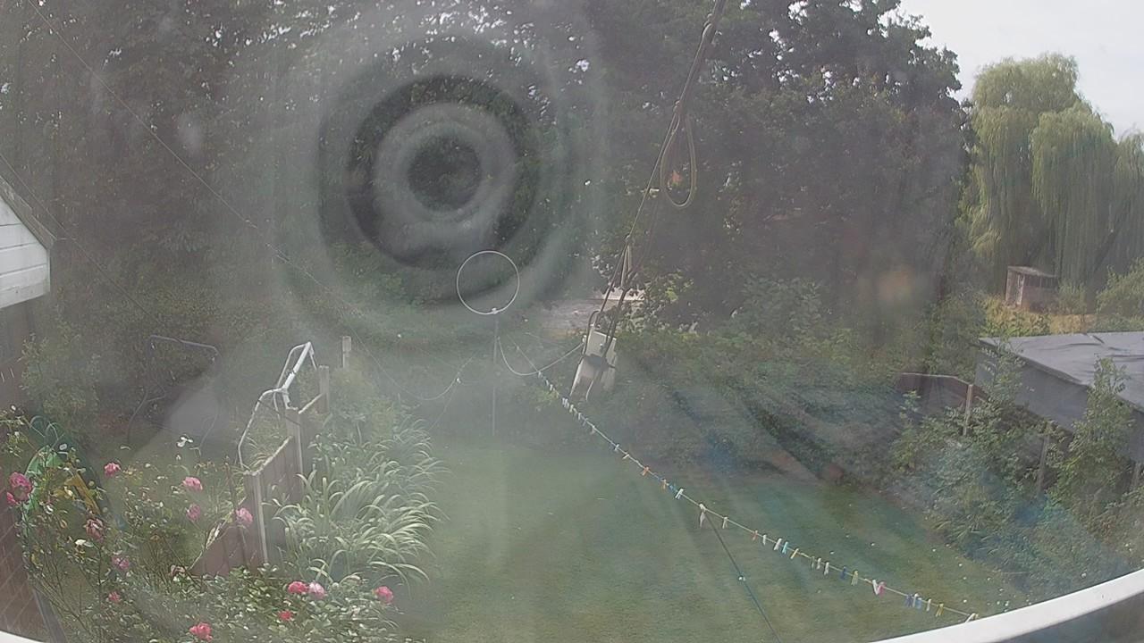 20260818_124650_cam1.jpg