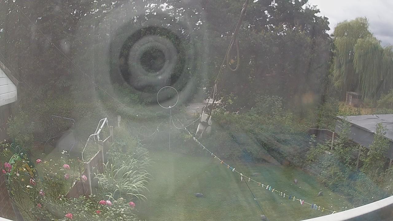 20260818_125245_cam1.jpg