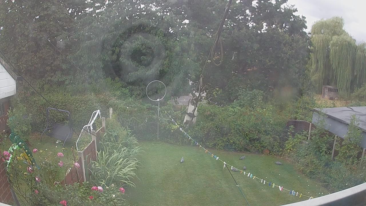 20260818_125543_cam1.jpg
