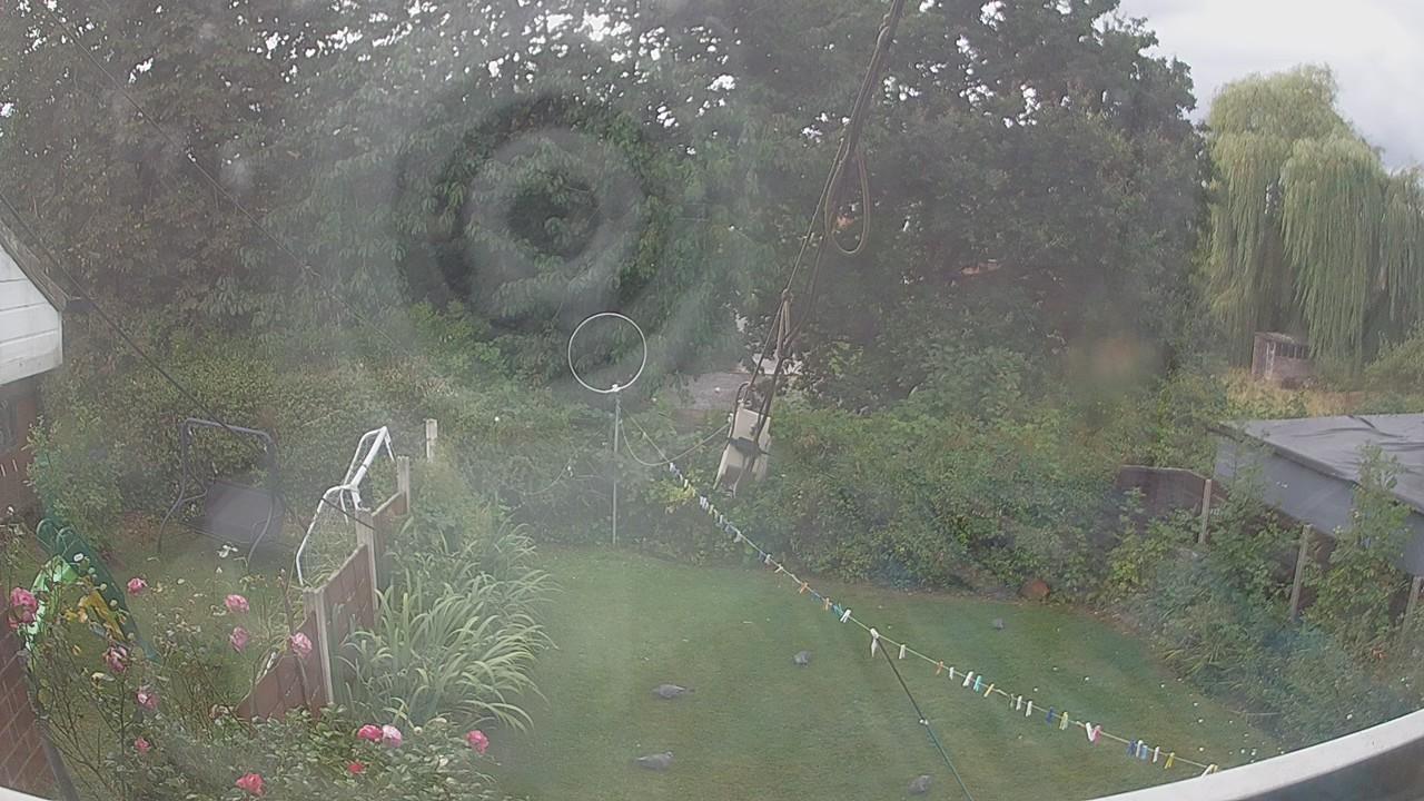 20260818_125831_cam1.jpg