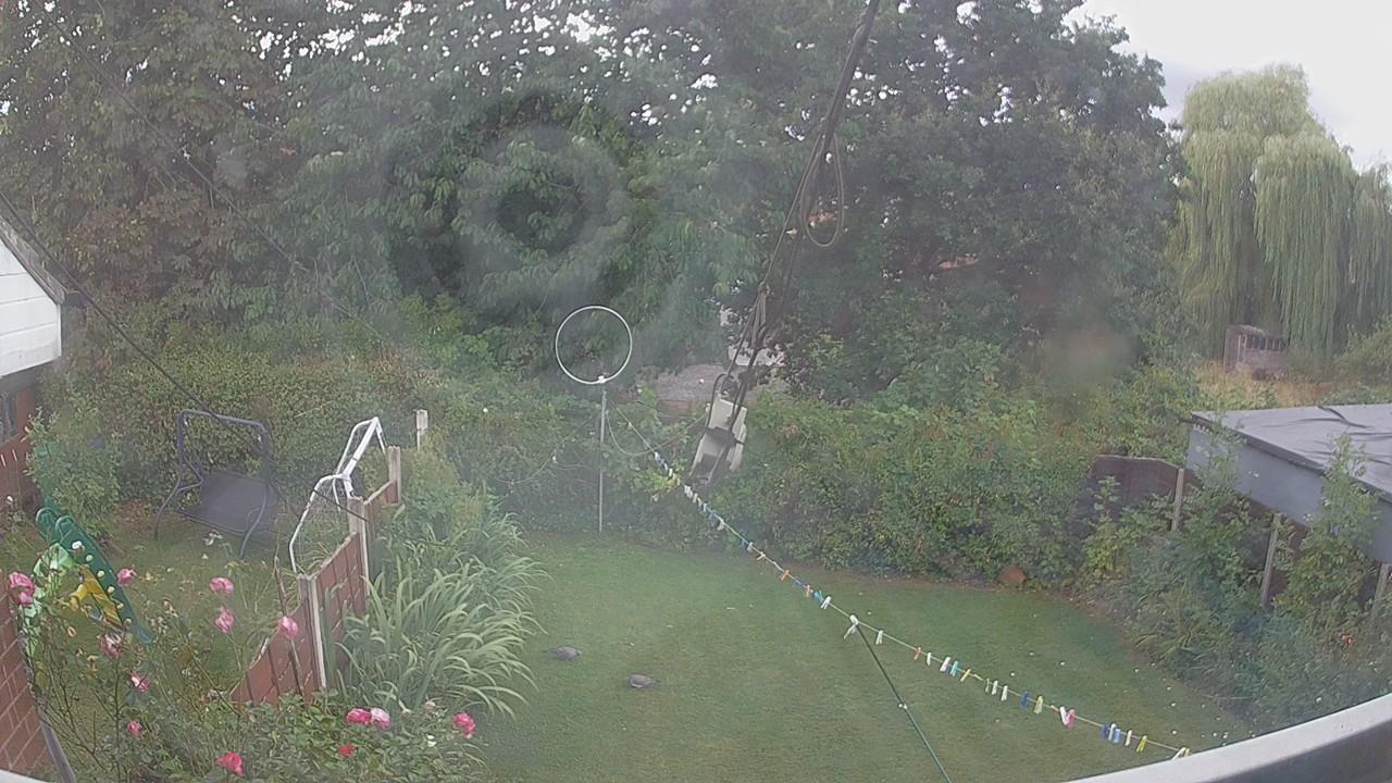 20260818_130119_cam1.jpg