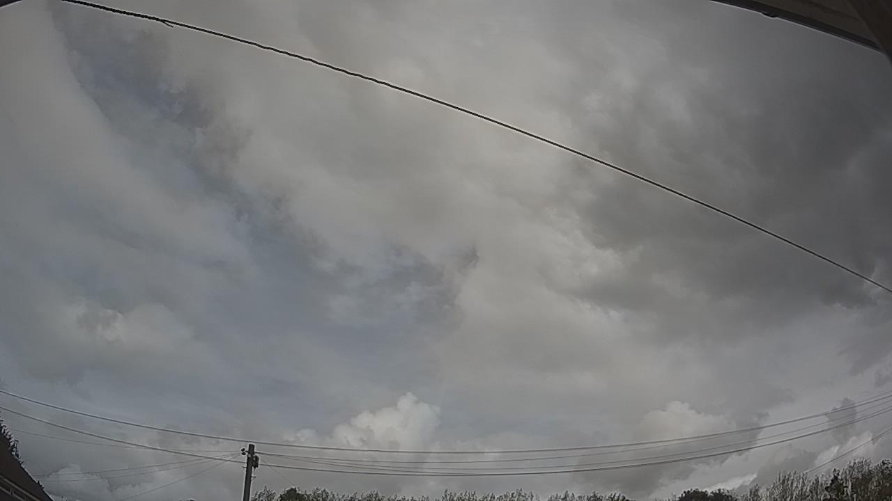 20260818_130409_cam2.jpg