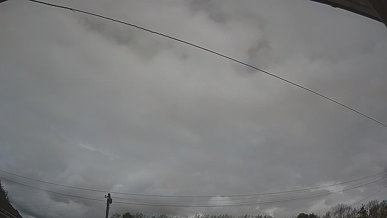 20260818_130945_cam2.jpg