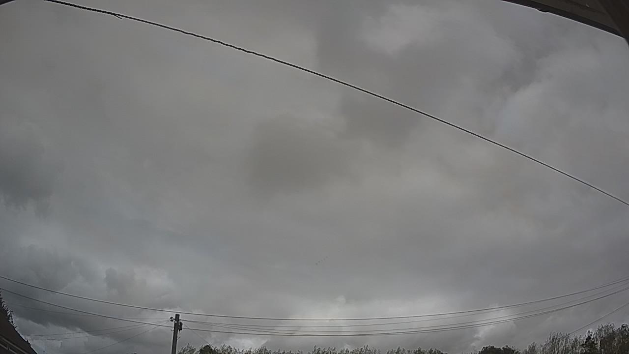 20260818_131233_cam2.jpg