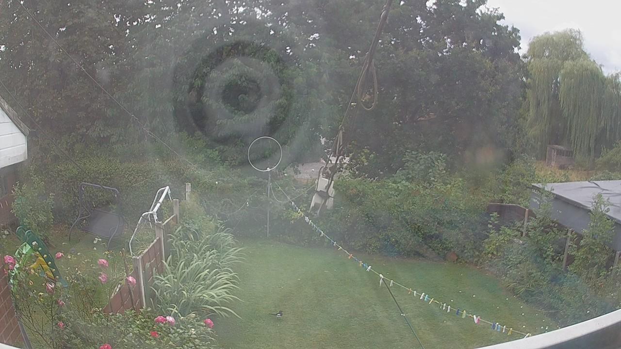 20260818_131808_cam1.jpg