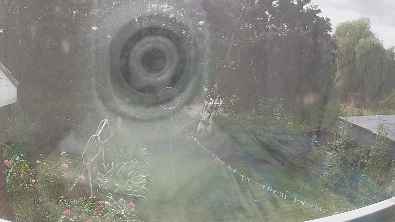 20260818_132956_cam1.jpg