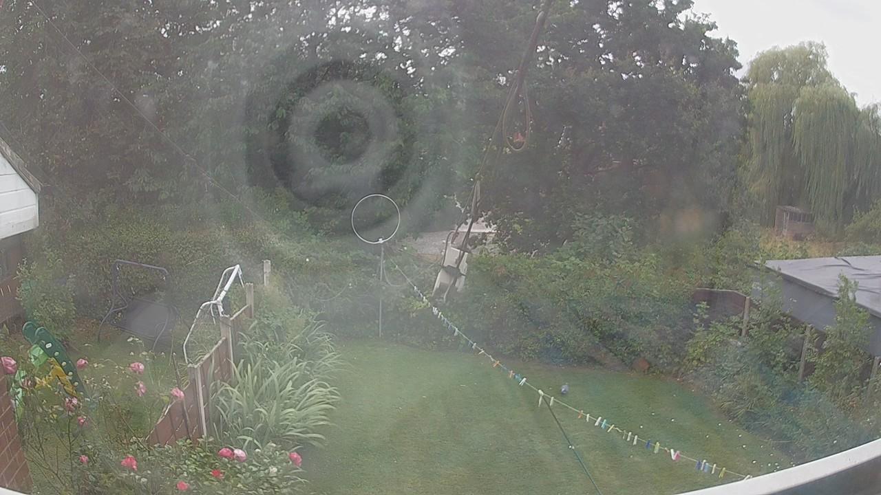 20260818_134007_cam1.jpg