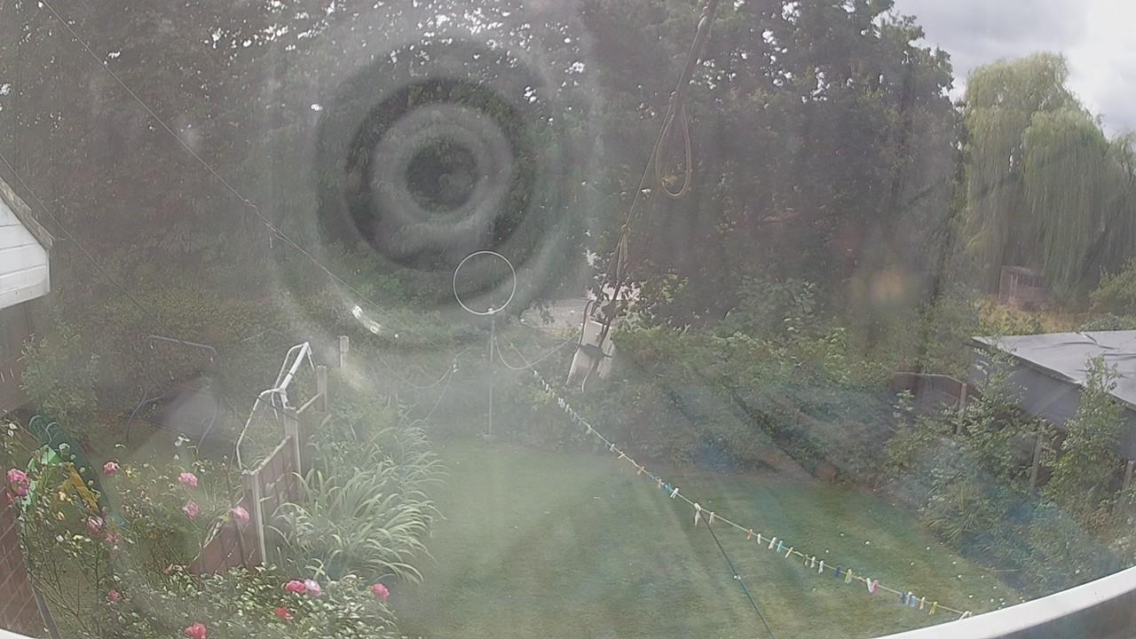 20260818_135018_cam1.jpg