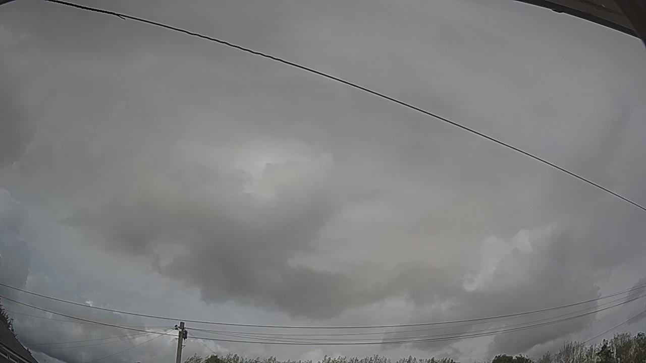 20260818_135019_cam2.jpg