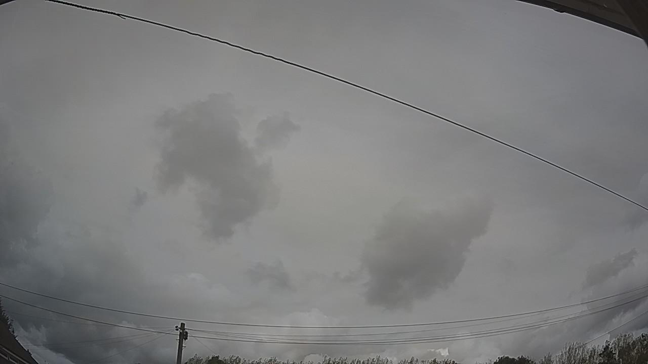 20260818_140004_cam2.jpg