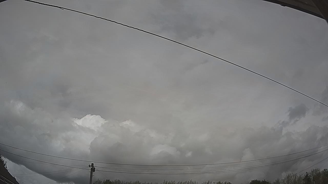 20260818_141744_cam2.jpg