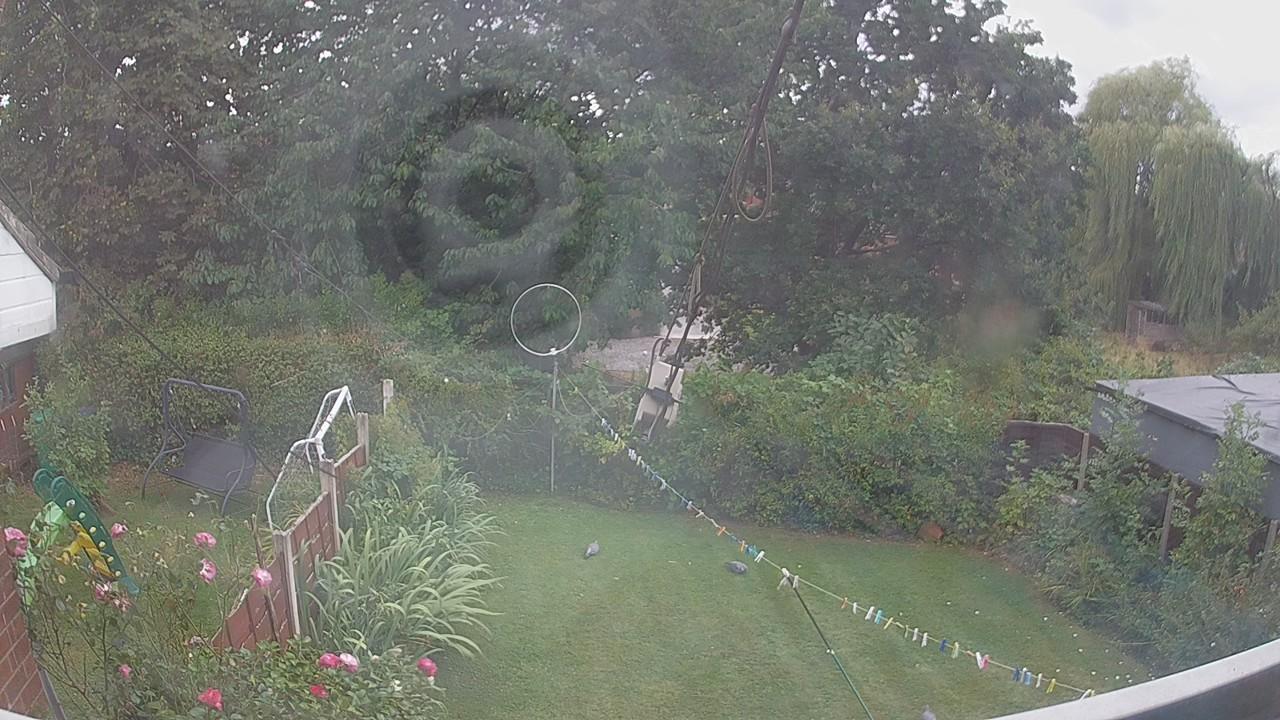 20260818_142040_cam1.jpg