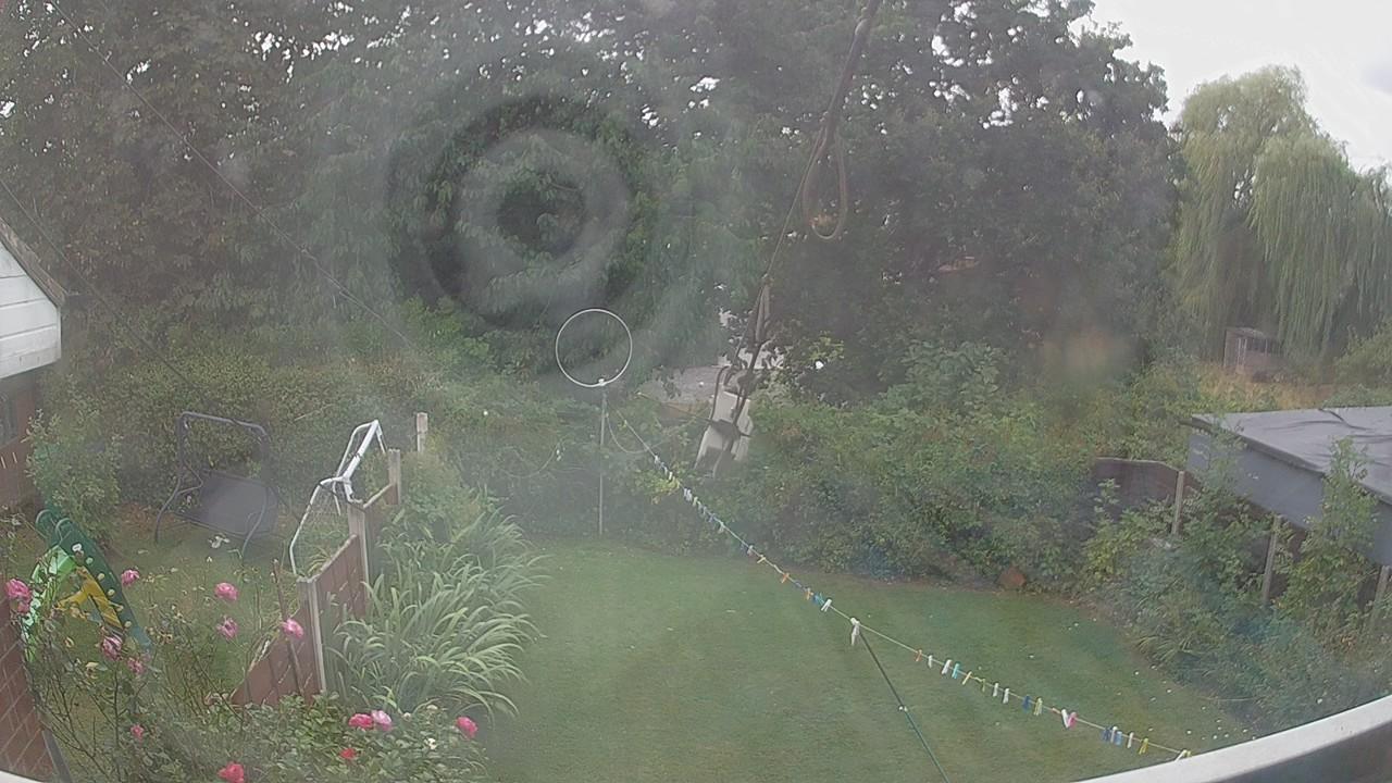 20260818_145228_cam1.jpg