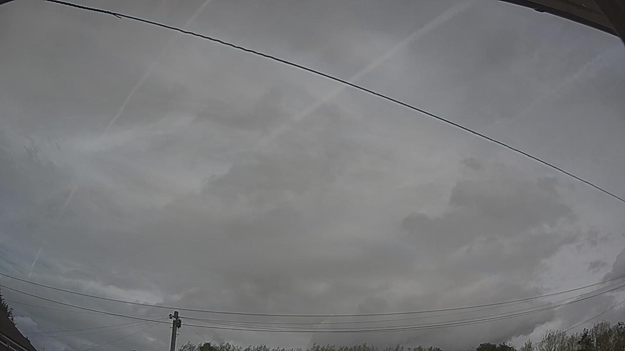 20260818_145229_cam2.jpg