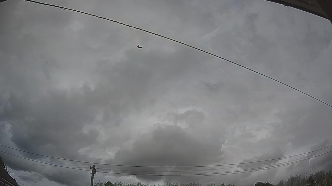 20260818_150433_cam2.jpg