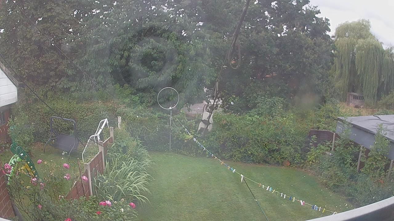 20260818_154041_cam1.jpg