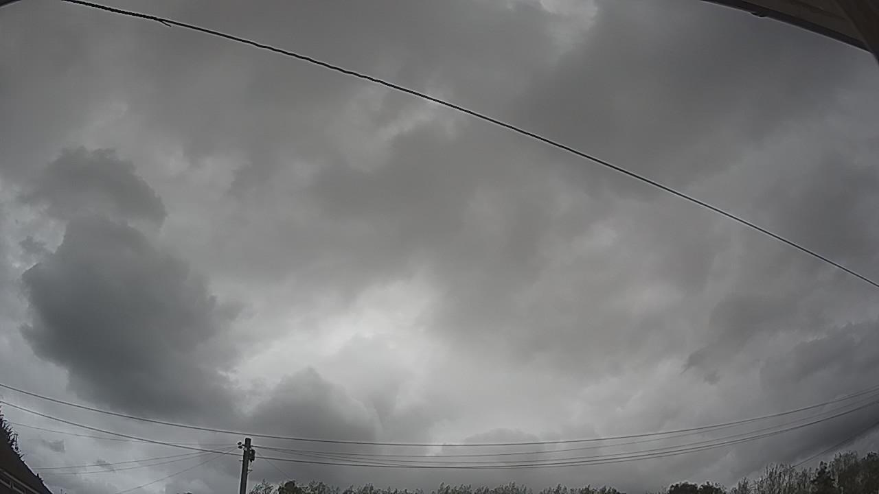 20260818_160208_cam2.jpg