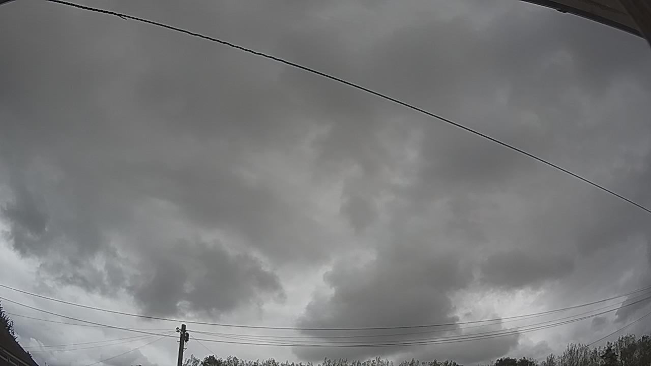 20260818_160505_cam2.jpg