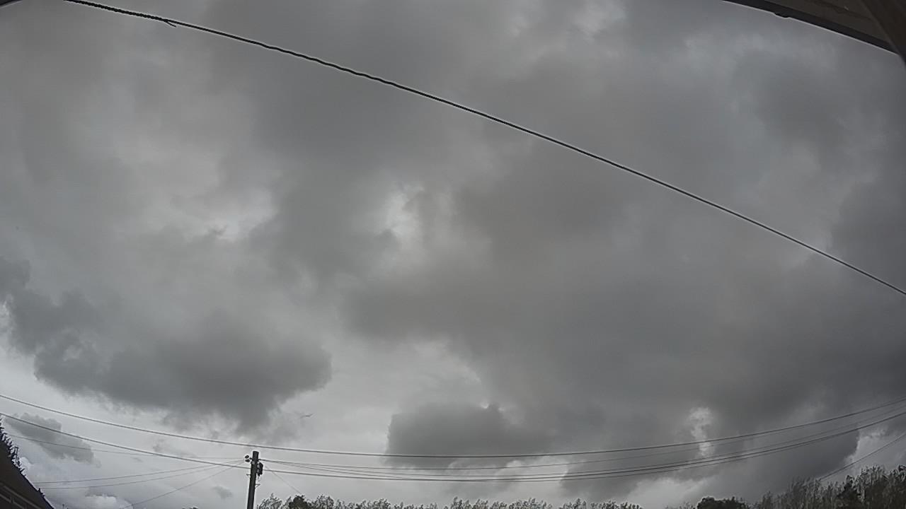 20260818_160802_cam2.jpg
