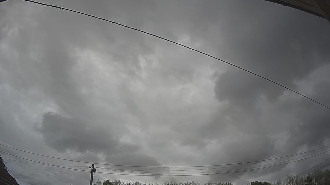 20260818_161356_cam2.jpg