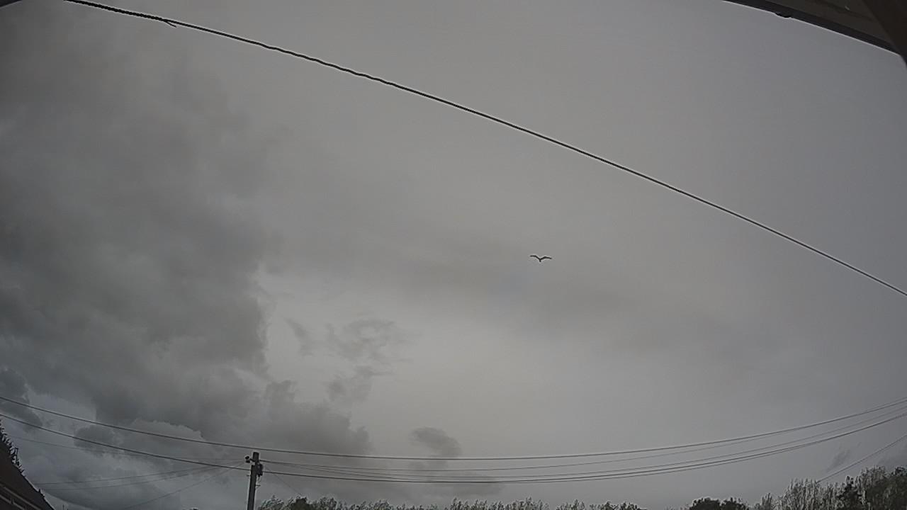20260818_164724_cam2.jpg