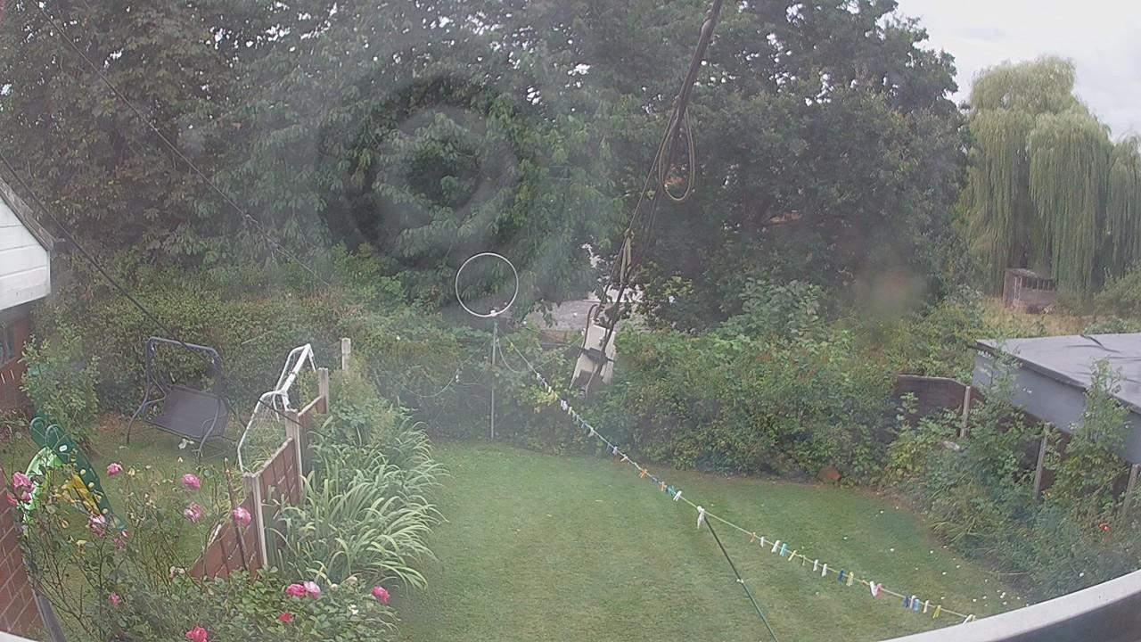 20260818_165334_cam1.jpg