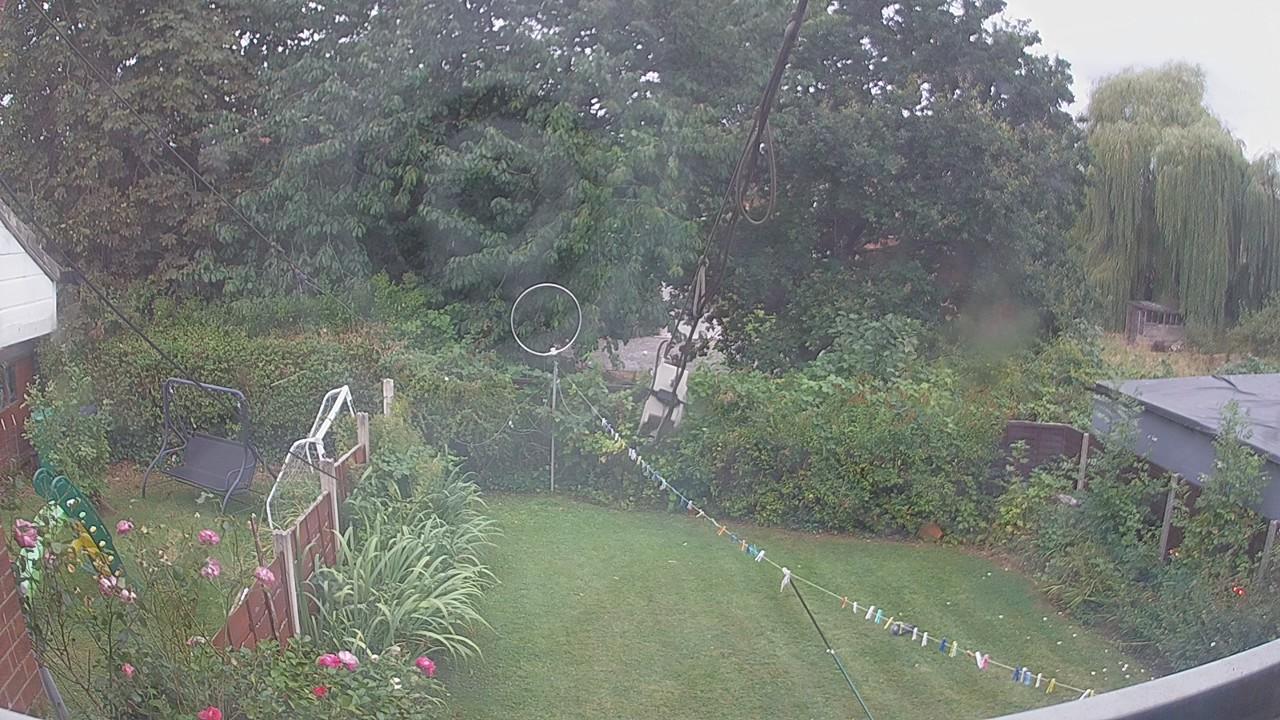 20260818_172502_cam1.jpg