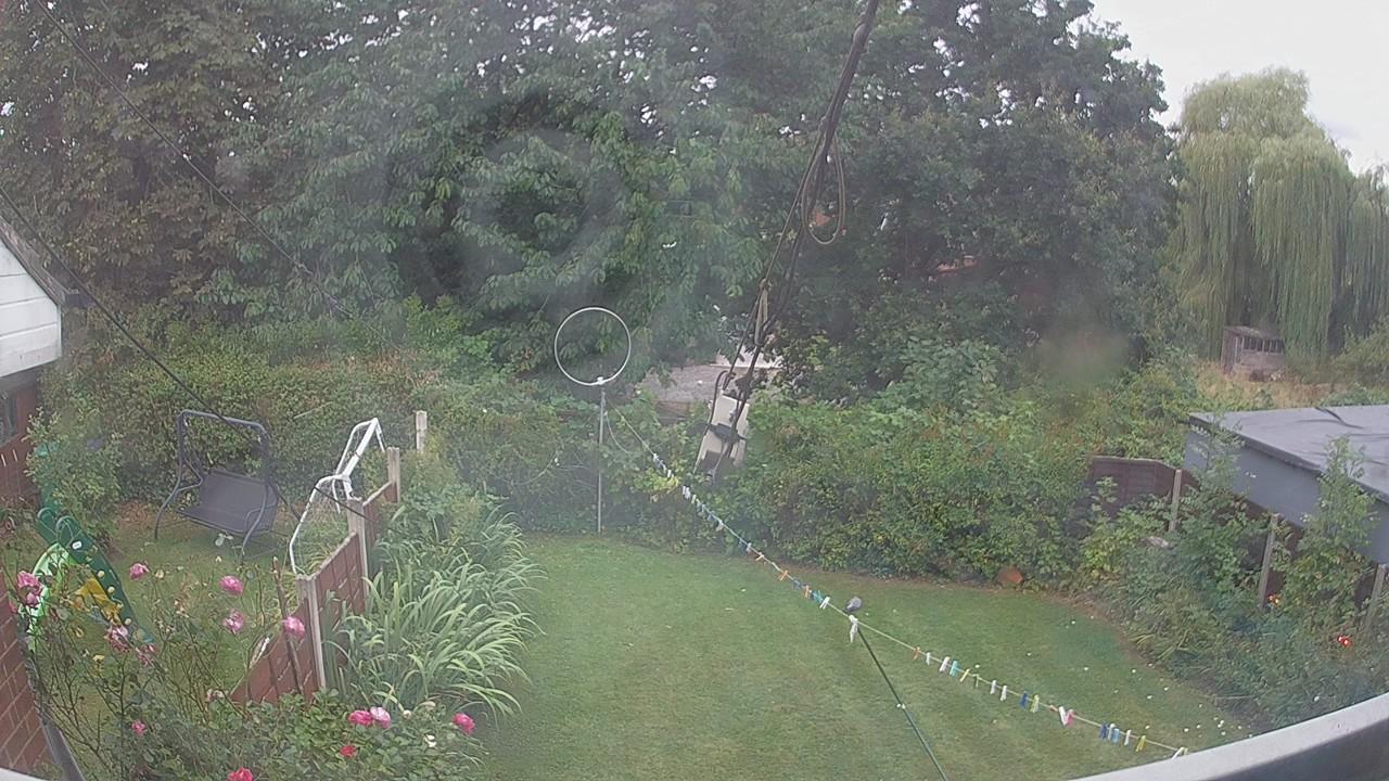 20260818_175101_cam1.jpg