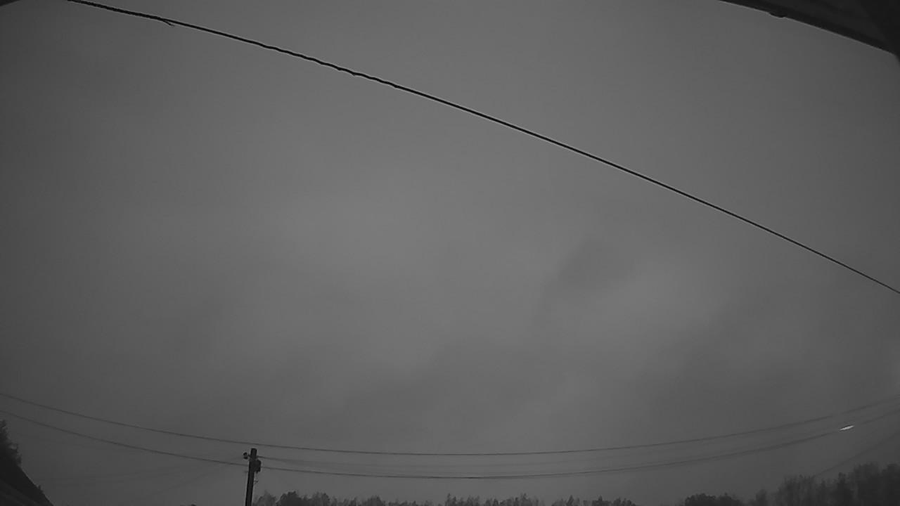 20260819_042636_cam2.jpg