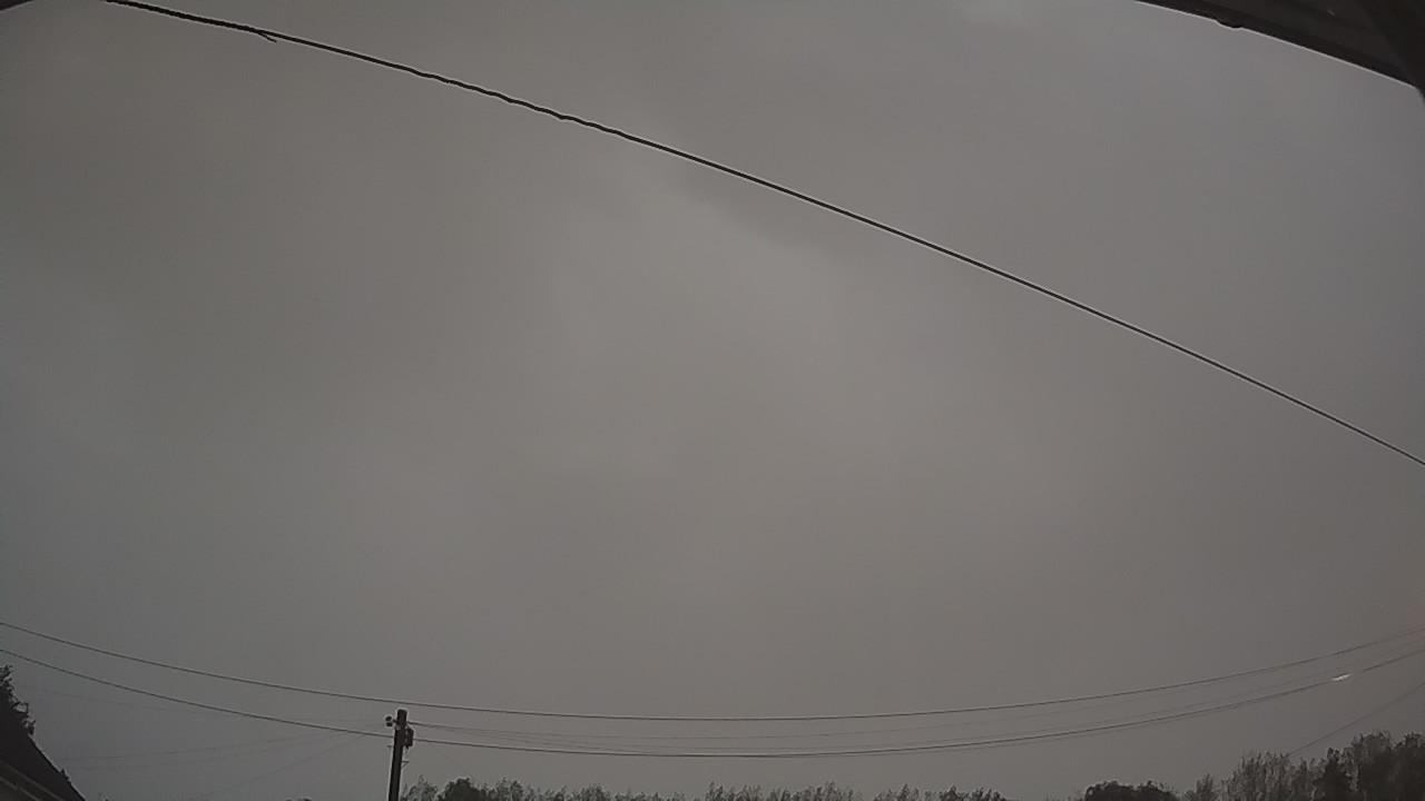 20260819_043606_cam2.jpg