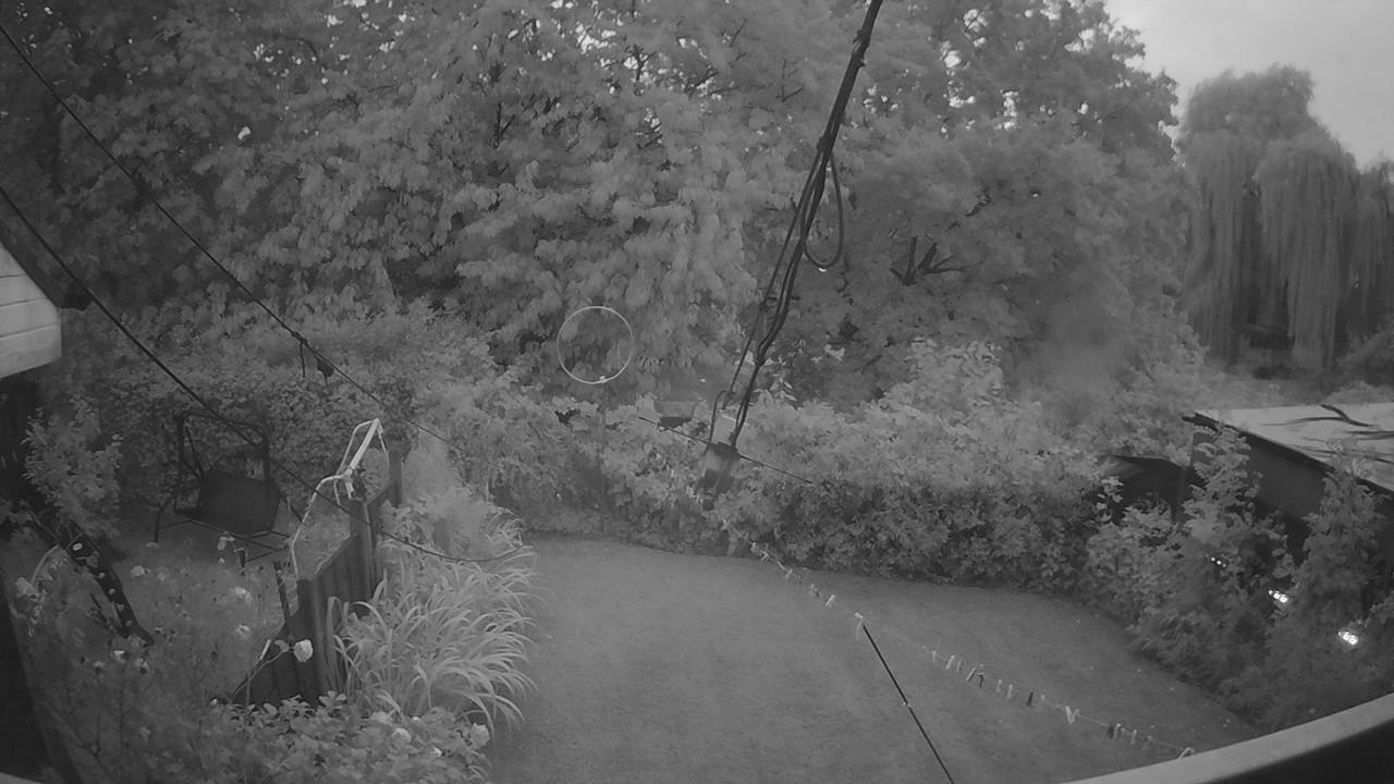 20260819_044050_cam1.jpg