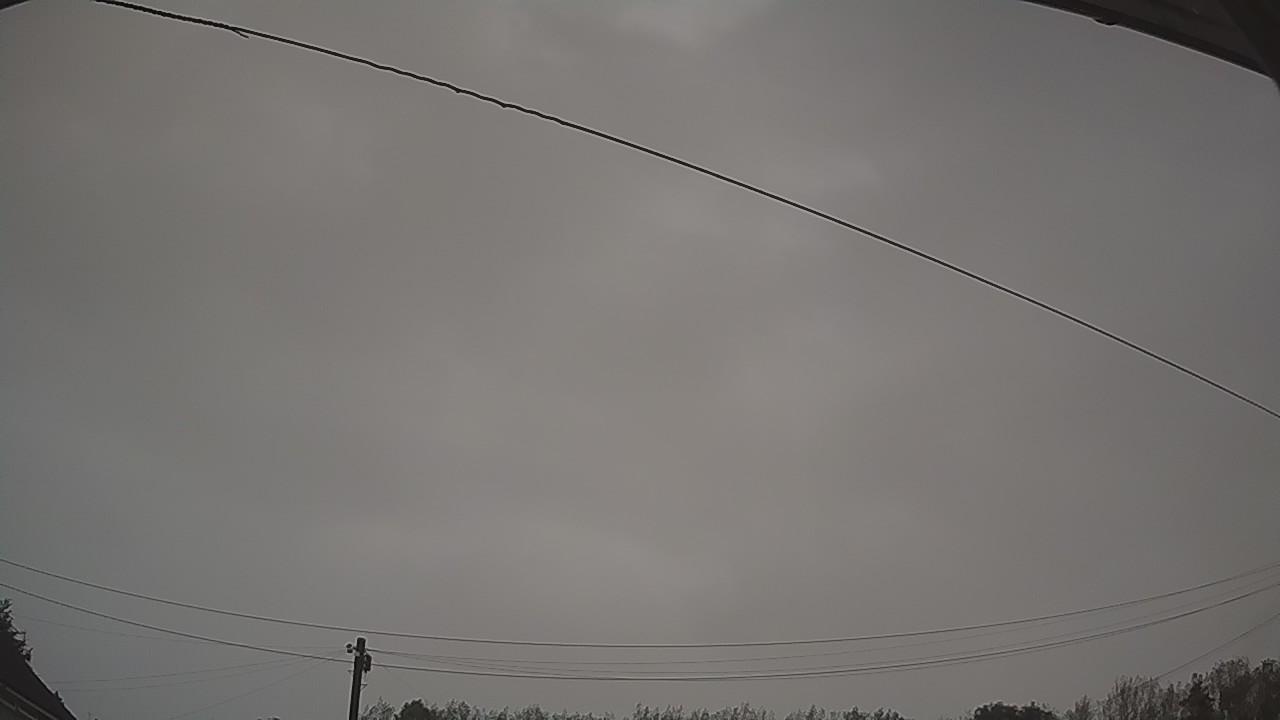 20260819_044051_cam2.jpg
