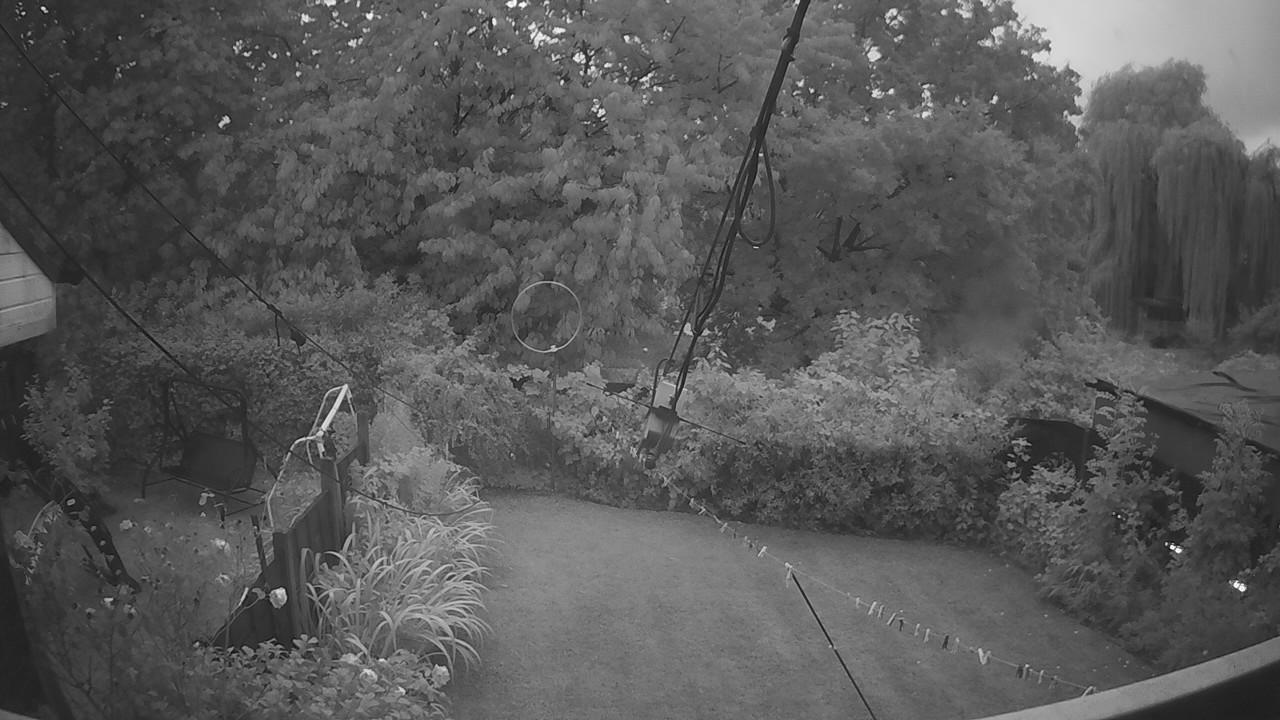 20260819_044534_cam1.jpg