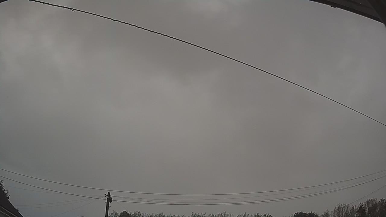 20260819_044535_cam2.jpg