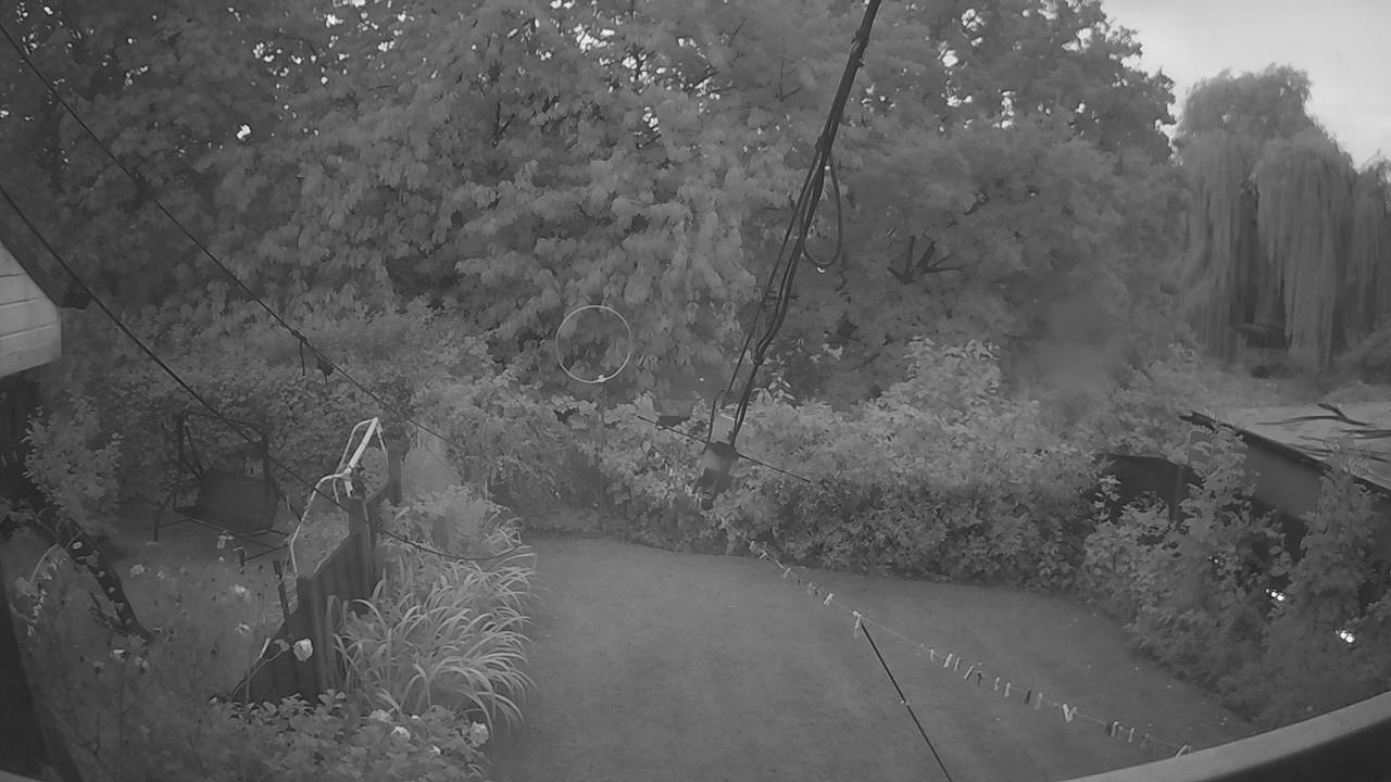 20260819_045020_cam1.jpg