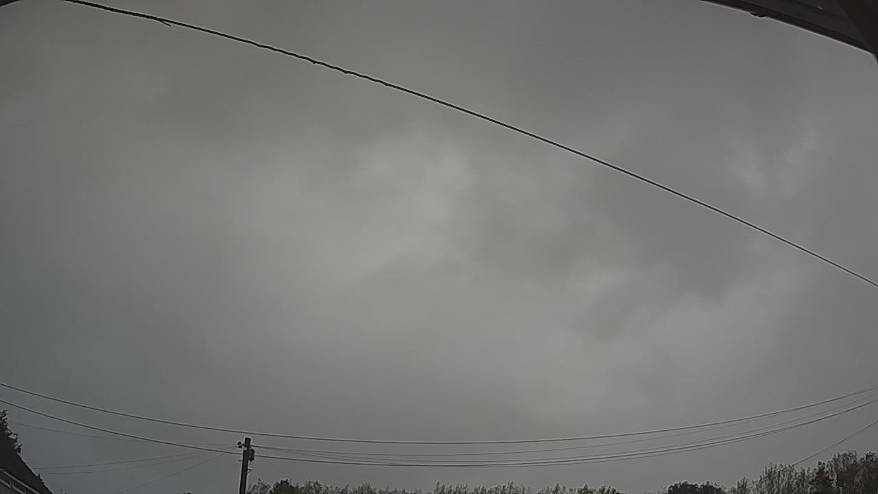 20260819_045022_cam2.jpg