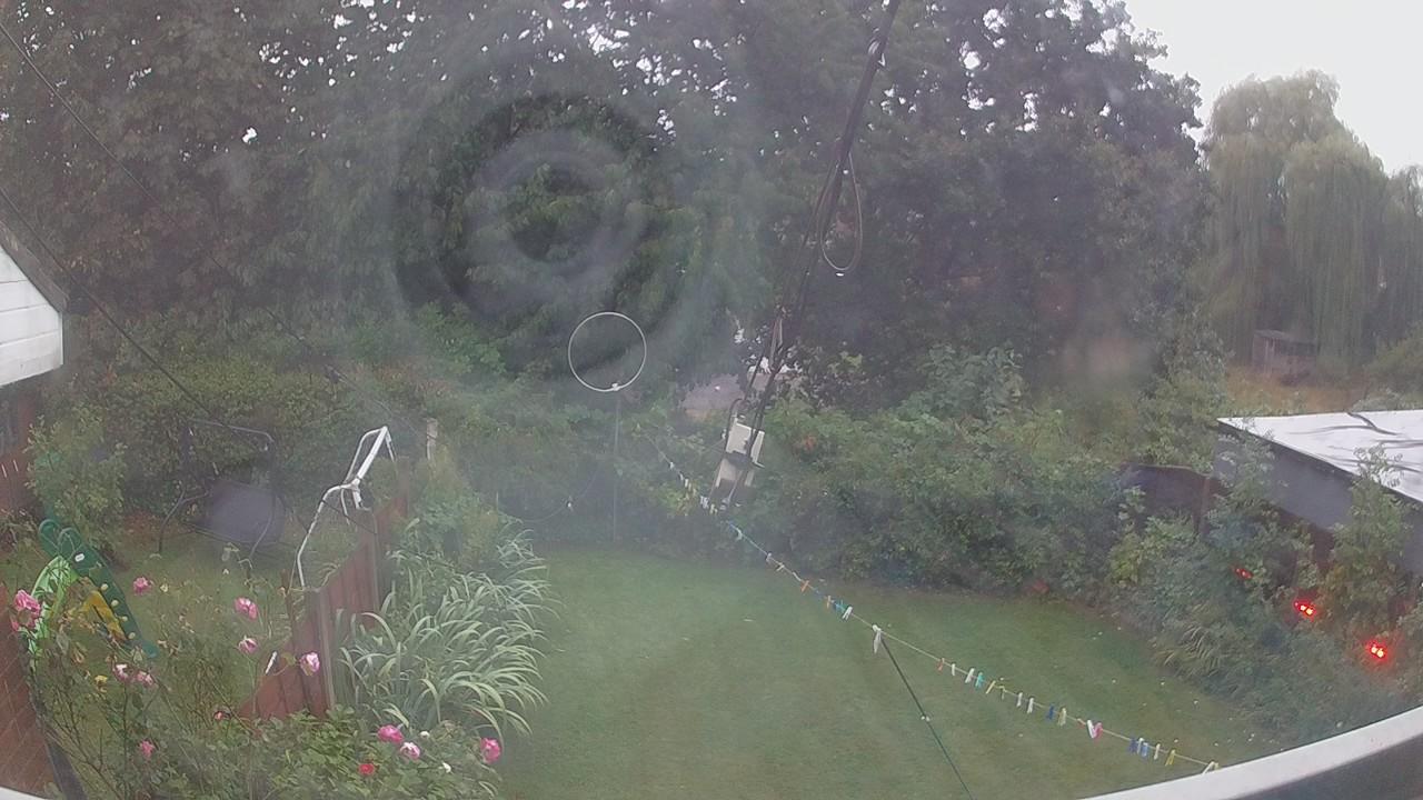 20260819_045505_cam1.jpg
