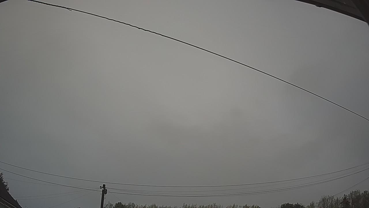 20260819_045506_cam2.jpg