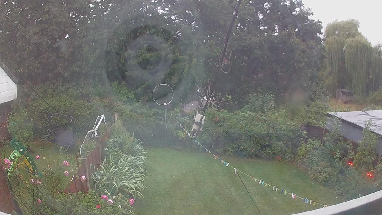 20260819_050009_cam1.jpg