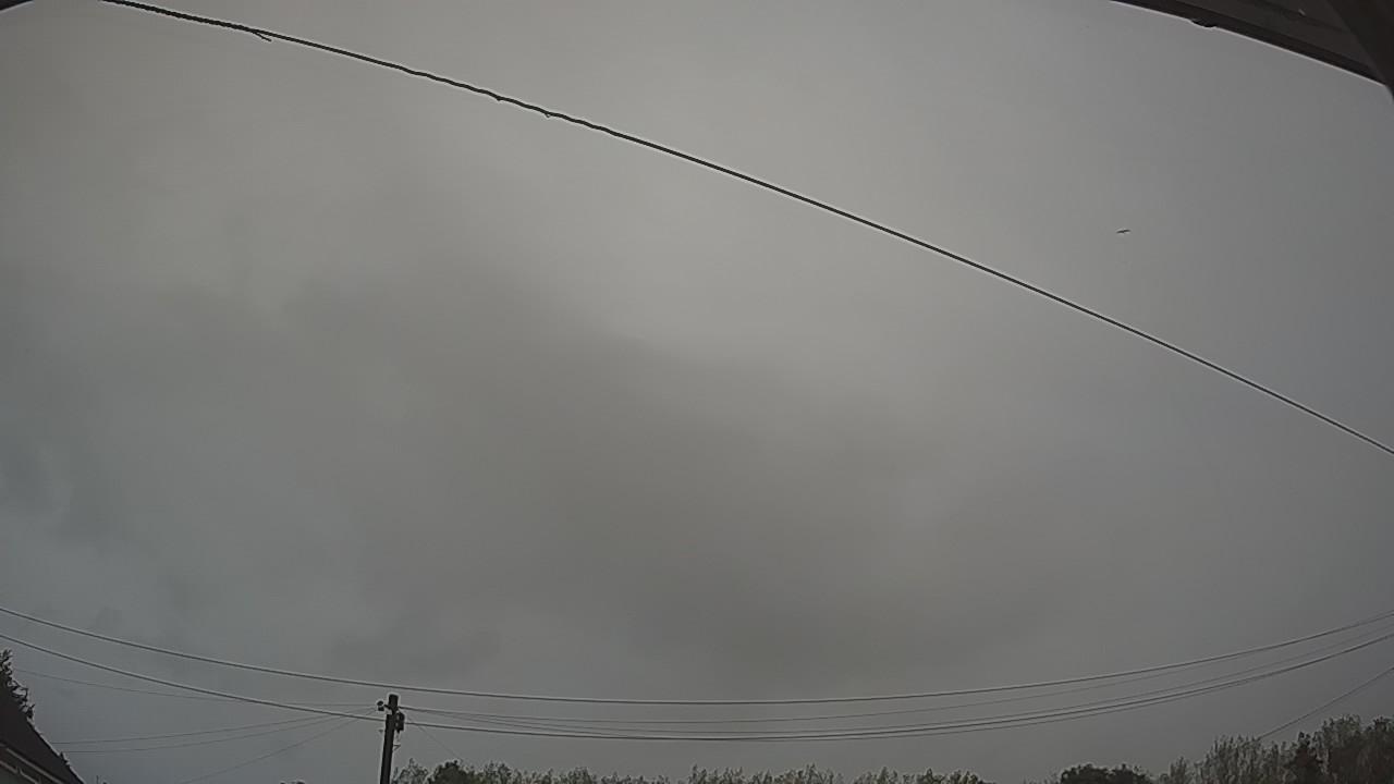 20260819_050010_cam2.jpg