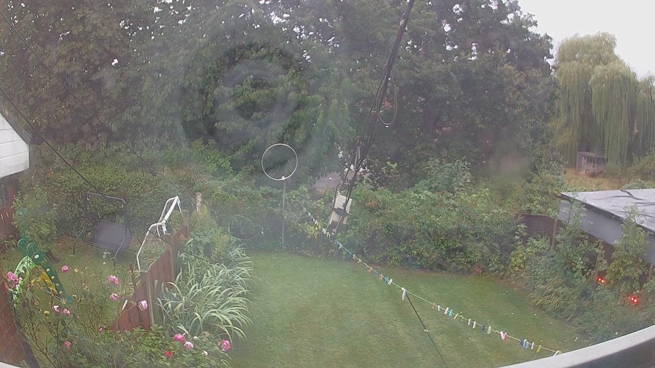 20260819_050513_cam1.jpg