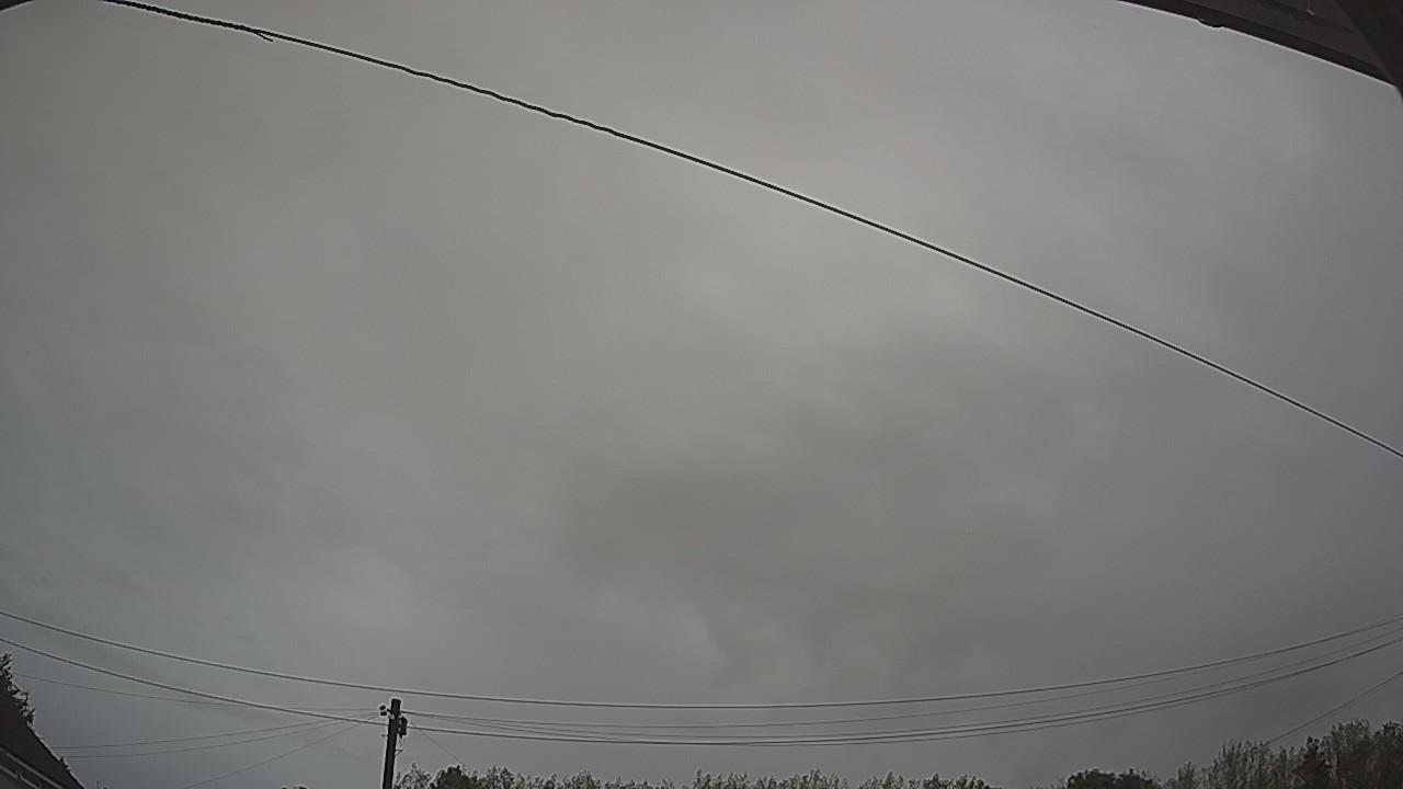 20260819_050514_cam2.jpg