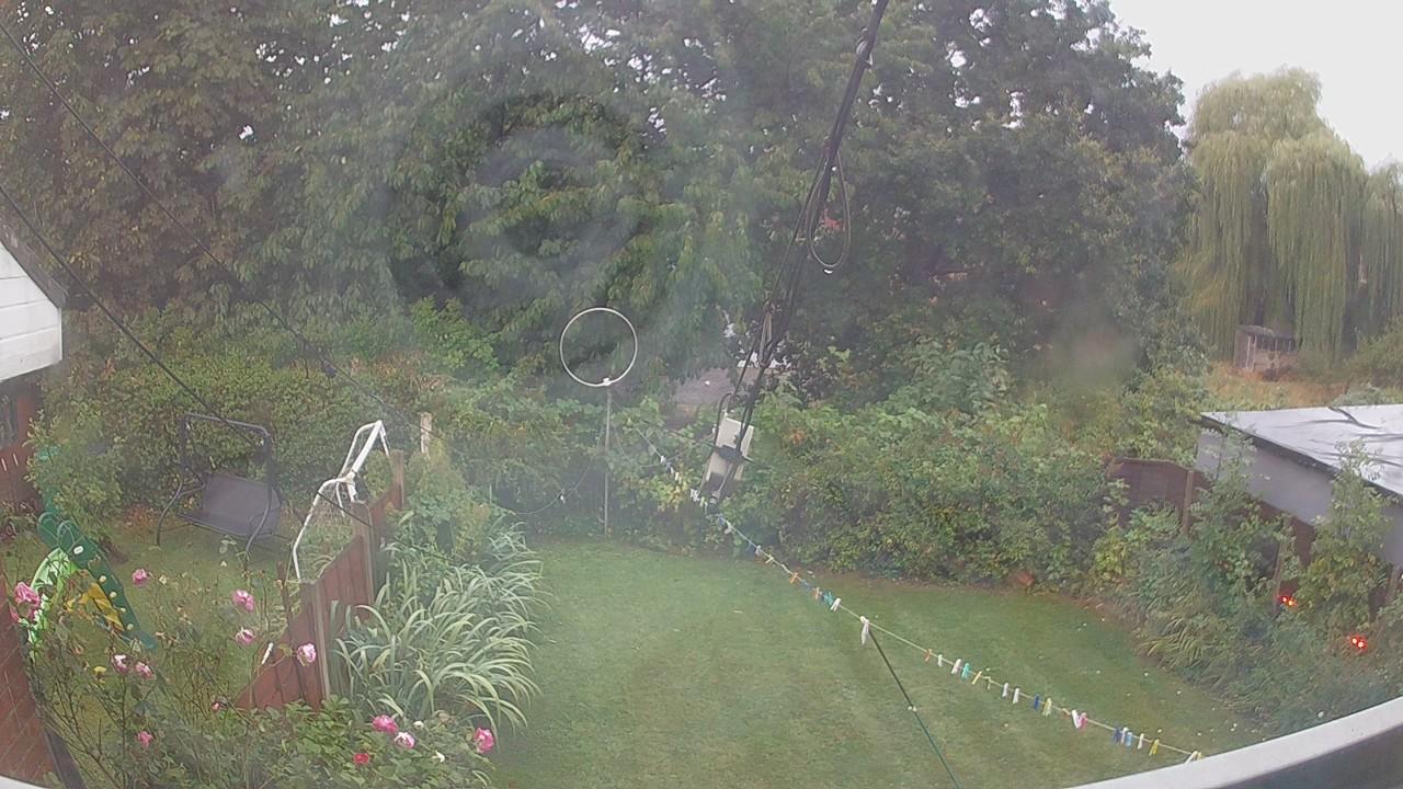 20260819_051519_cam1.jpg
