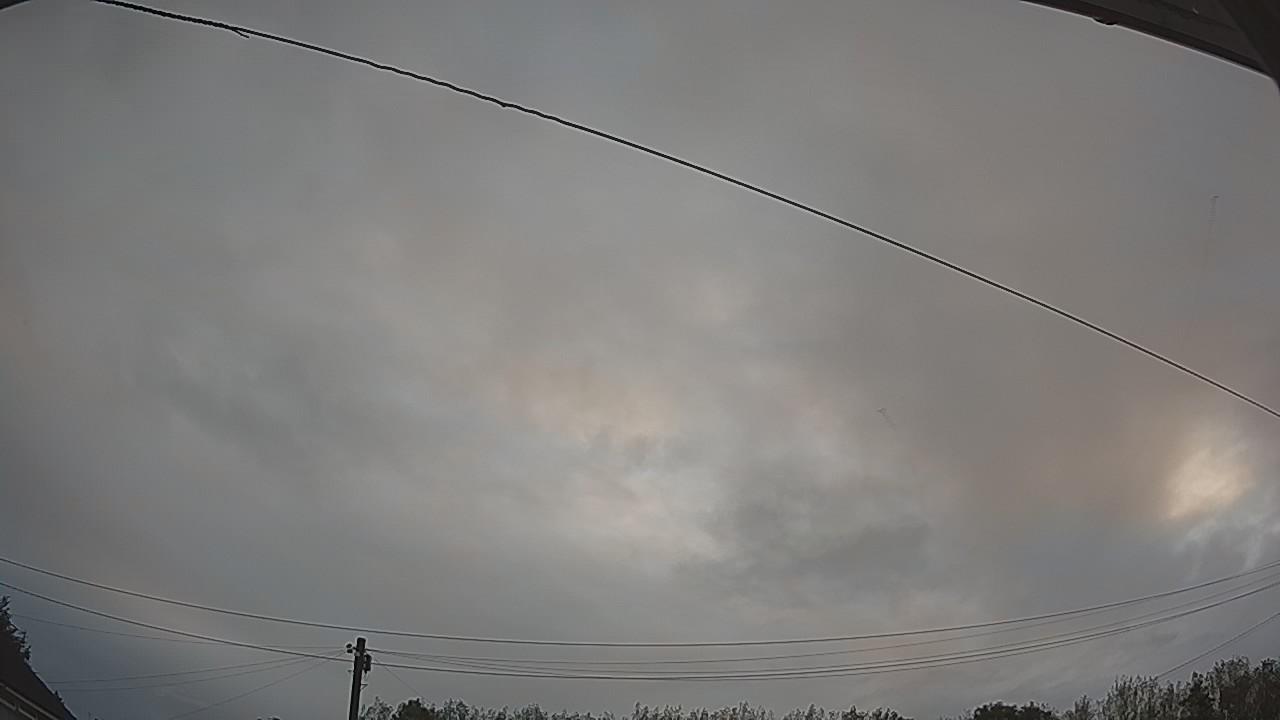 20260819_052024_cam2.jpg
