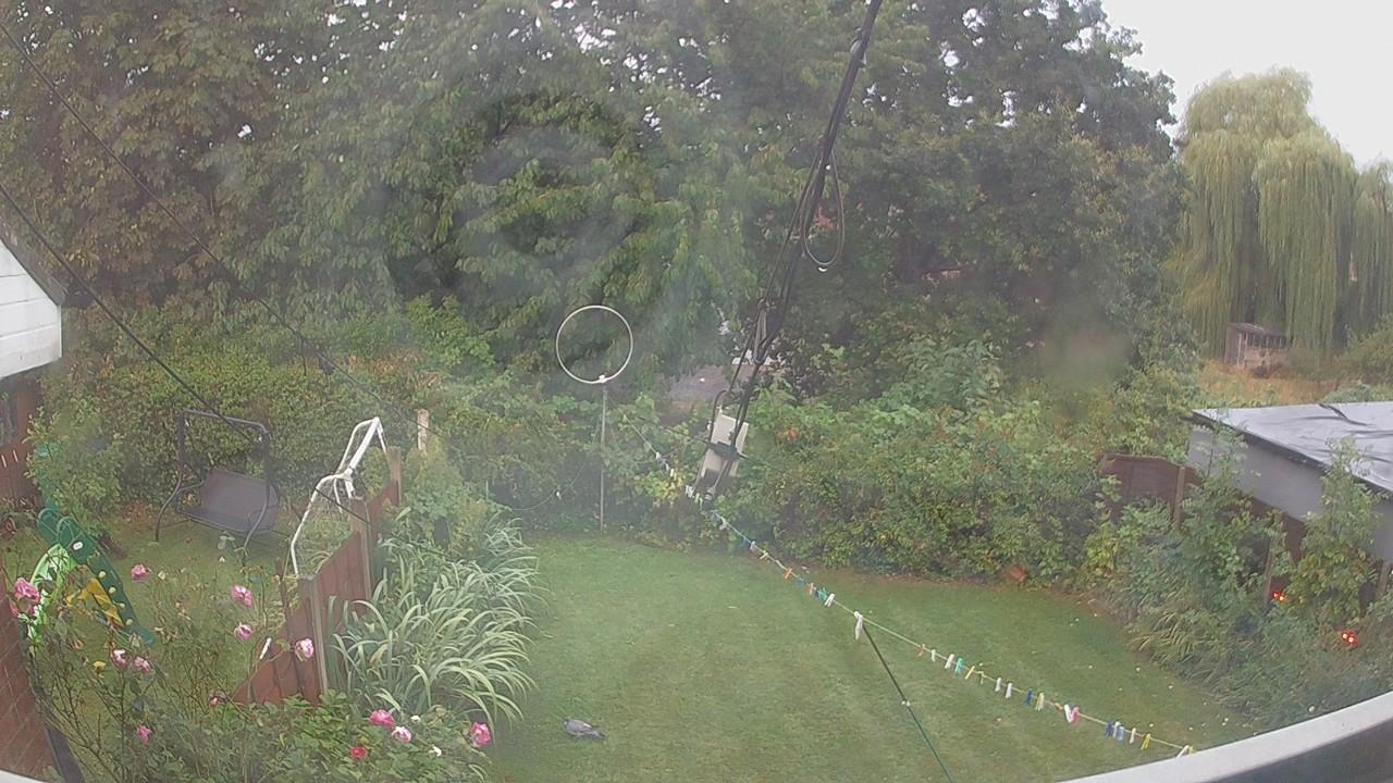 20260819_052527_cam1.jpg