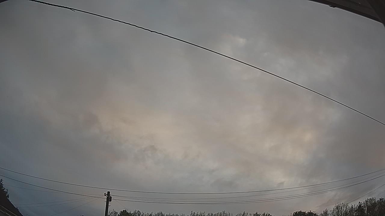 20260819_052528_cam2.jpg
