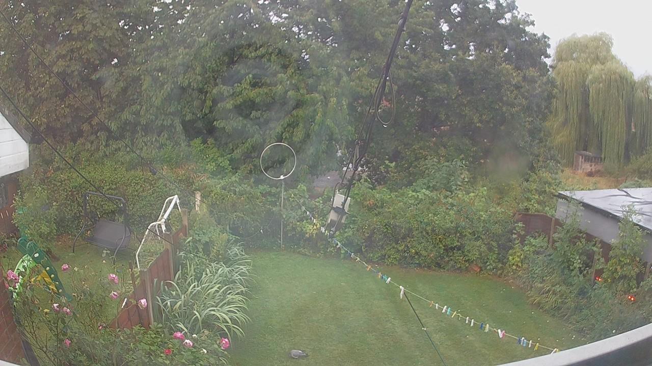 20260819_053012_cam1.jpg