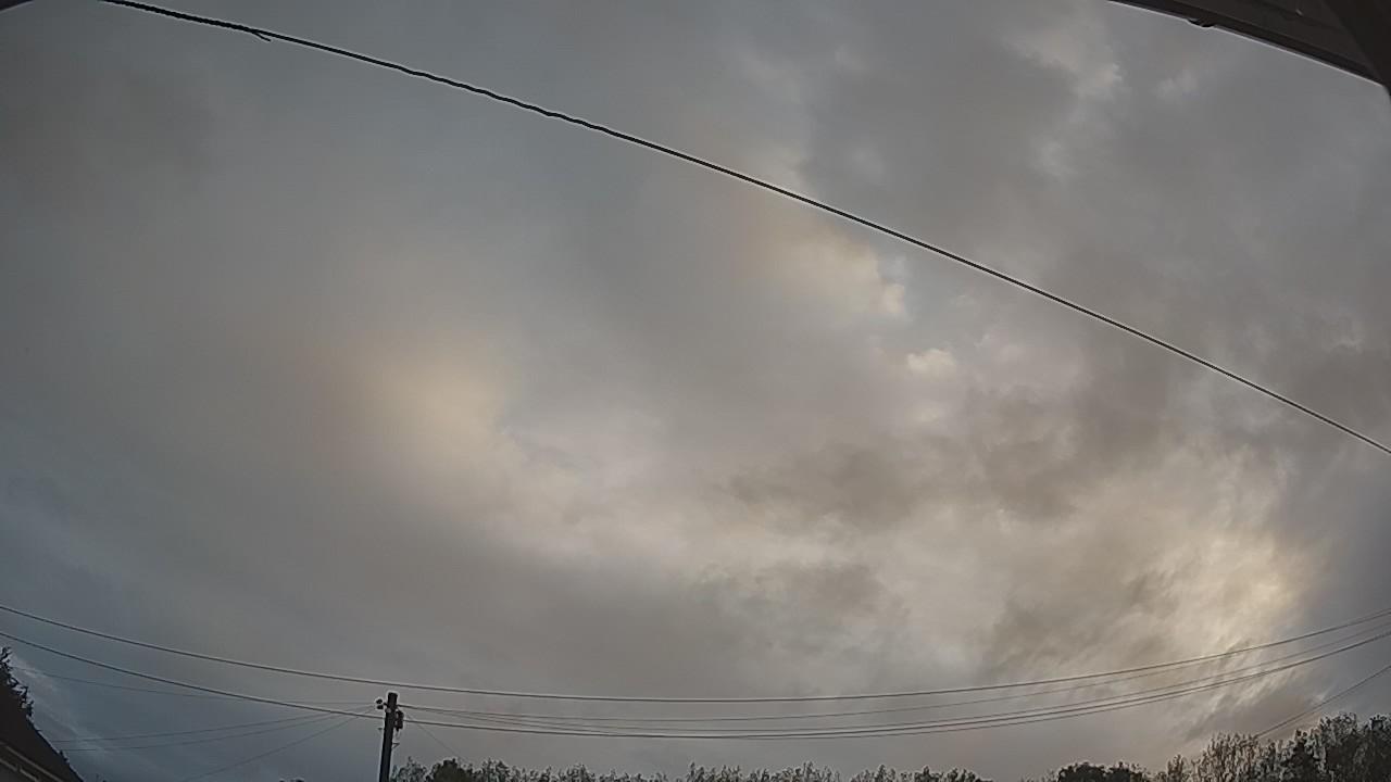 20260819_053013_cam2.jpg