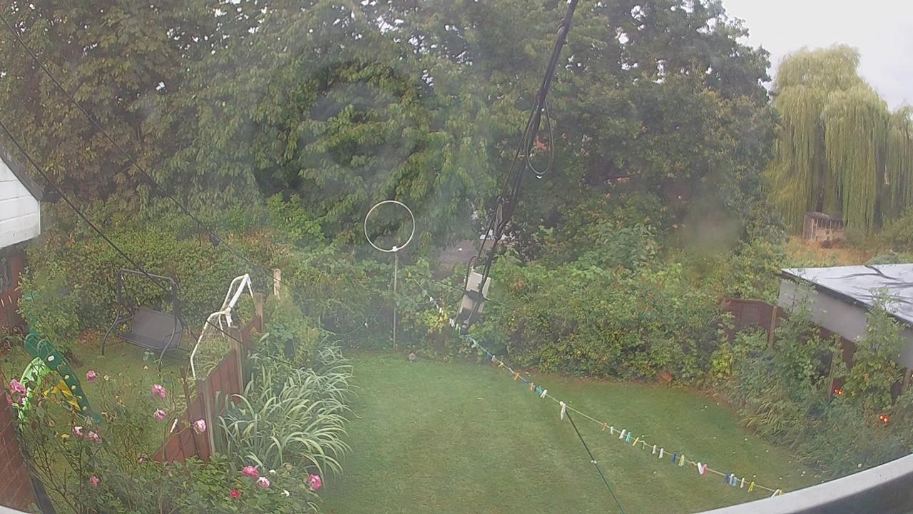 20260819_053458_cam1.jpg